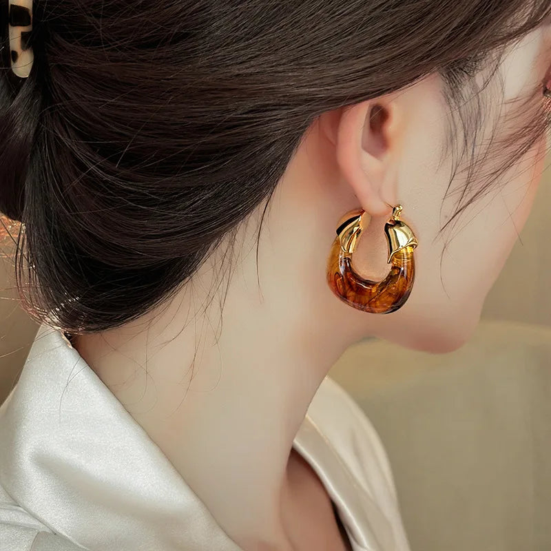 Lilly - Retro U-shaped Geometric Earrings made of Brown Resin for Women