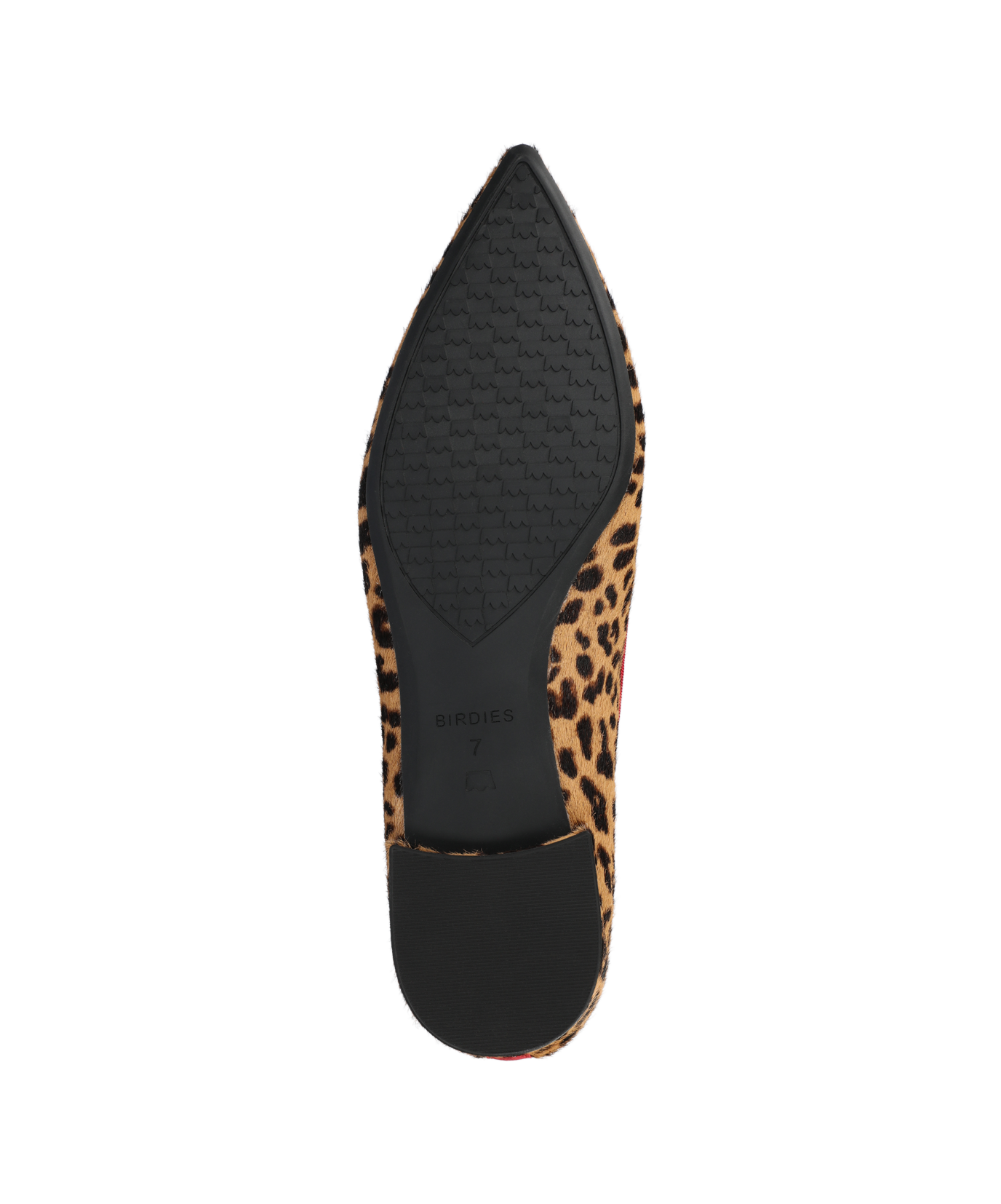 Zinnia Starfinch 15 Tassel Leopardprint Haircalf Pointed Toe Loafer 4
